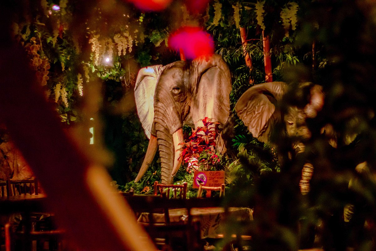 The Only Rainforest Cafe in the UK
