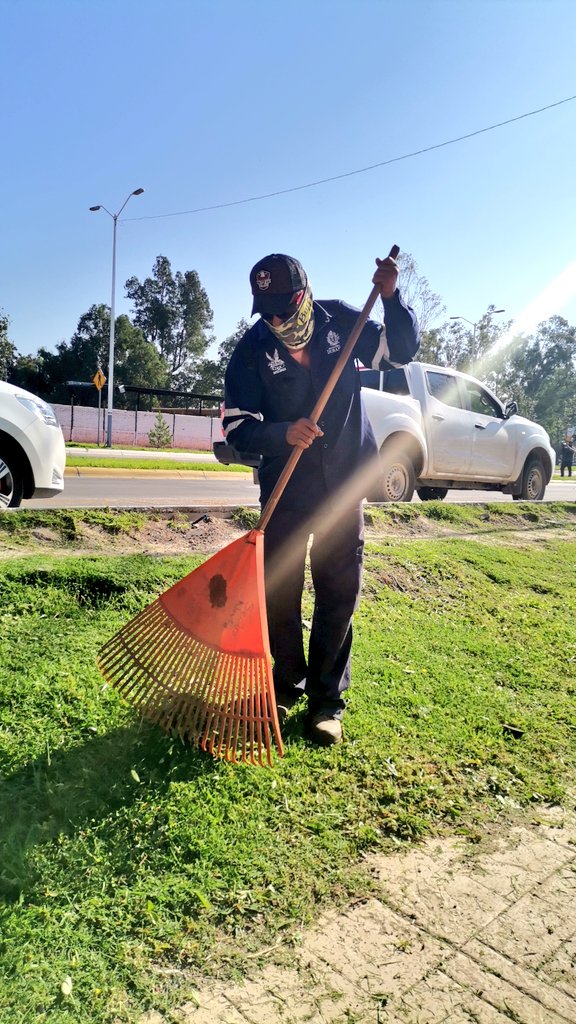 Gabyvazquezch's tweet photo. 👉🏻 Se están llevando a cabo trabajos de poda y reforestación en la Avenida Estación Central. 🛣️
➡️ El objetivo es mantener, ampliar y mejorar las áreas verdes en la ciudad para generar pulmones en la mancha urbana. 🌳🍃
#GenerandoVamos por un Durango más verde! https://t.co/C22woW3dJN
