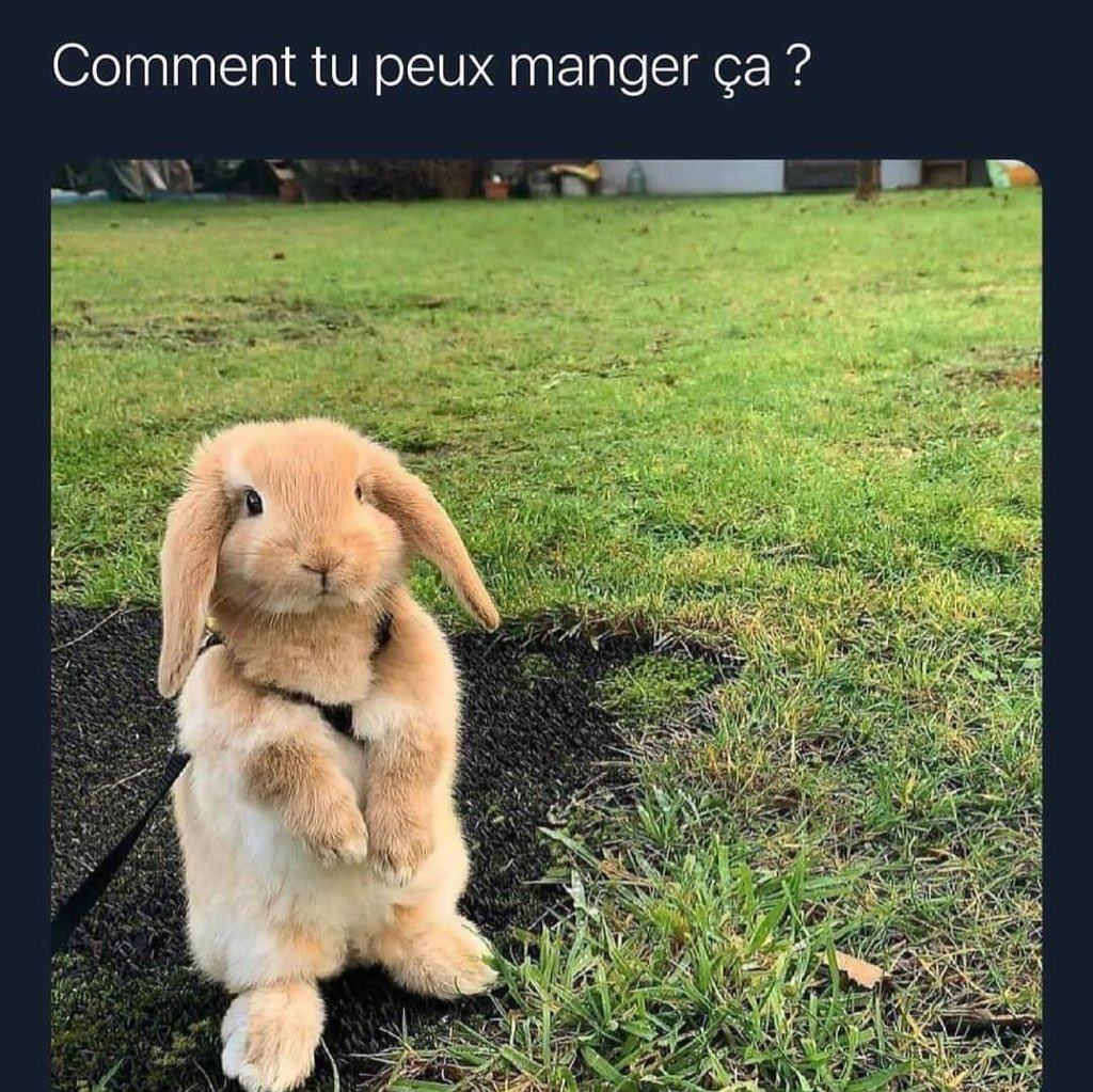 AkyBeauf's tweet photo. Bah avec une fourchette https://t.co/YU7fPWCu2v