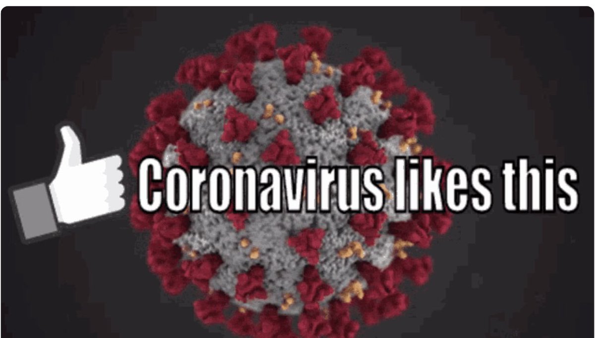 ShirlAAdams's tweet photo. @JeffBernthal ☞THE SCIENCE IS CLEAR☞#MasksWork #VaccinesWork
#Foxitis https://t.co/U2PzE2fkvw