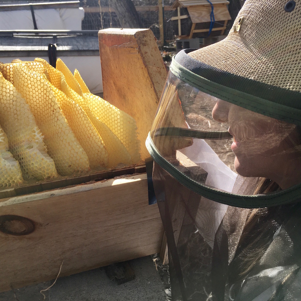 beeguardian's tweet image. The Bee Guardian® Veil! Beekeeping Just Got a Whole Lot Clearer

* Easily clips to your beekeeping jacket 
* Breathable mesh
* Scratch resistant clear vinyl
* The clearest view into your hive!

#beekeeping #bees #langstroth #beekeeper #honeybee #apiary - mailchi.mp/backyardhive.c…