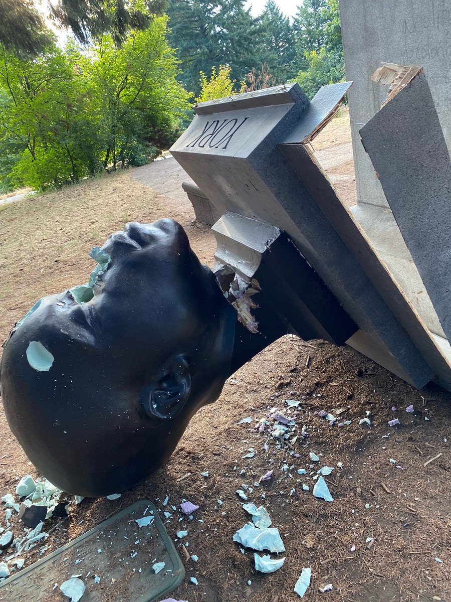 Zane Sparling tweet media