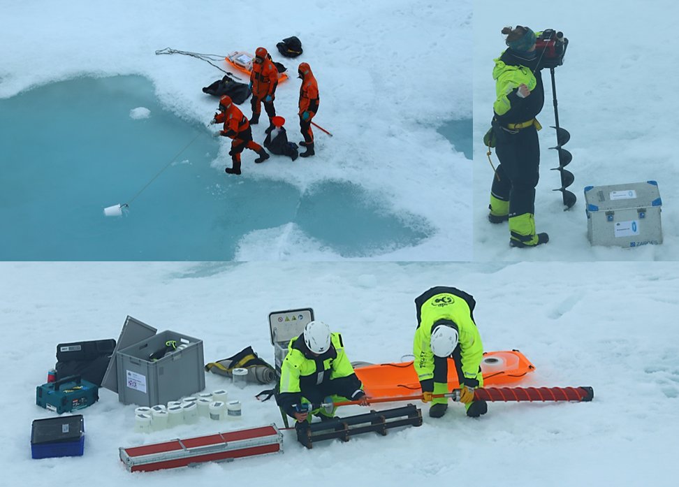 Nansen Legacy JC2-1 sea ice team taking ice cores, under-ice water and sampling melt ponds to investigate the summer sea ice of the Barents Sea and Arctic Ocean #nansenlegacy #rvkronprinshaakon @nansenlegacy @Havforskningen @NorskPolar @UiTNorgesarktis @UNISvalbard @UiB @CEESUiO