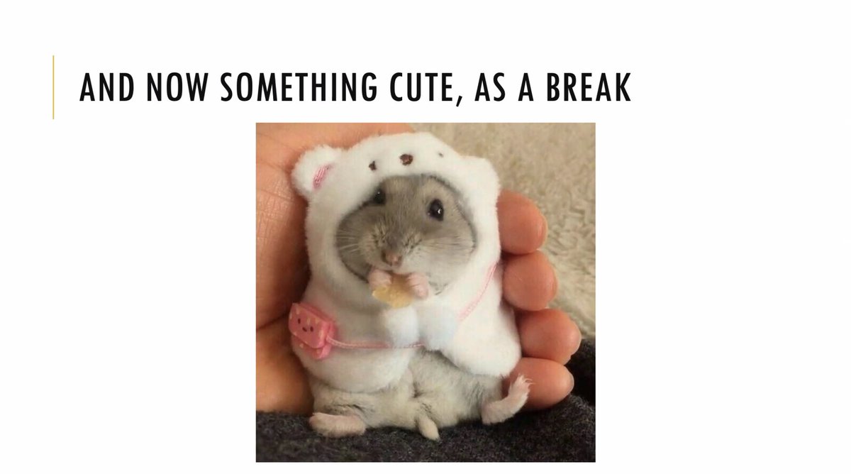 friede's tweet image. When I tell you I BARKED in laughter when I saw this slide by @GrubStreetWomen after a particularly heavy and ableist section of her talk here at #MovingTexts2021 #SHARP2021 

ID: small rodent (hamster?) in fuzzy onesie with caption &quot;And now something cute, as a break&quot;