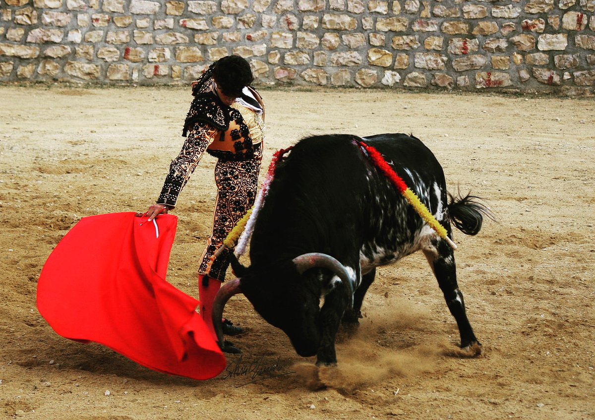 🗣️📢📢📢"El Rincón de Lolo".

🎙️ Entrevista "Gallito", Novillero Sin Picadores conquense:
"Gracias a él, no tropiezo, donde él tropezó"

Entrevista completa en: 👇👇
todoporlafiesta.net/rincondelolo/%…

📸 Fotografía: Silvia Olmedo

#Gallito #Entrevista #RincónDeLolo #Cuenca #TodoPorLaFiesta