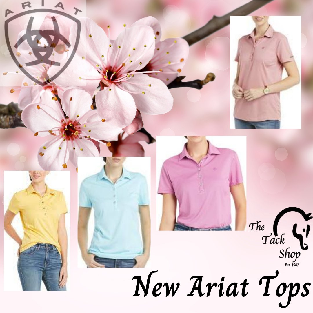 thetackshop's tweet photo. Ariat Talent Polos are a light-weight fabric that helps to keep you cool throughout the day. Not to mention they are super soft! https://t.co/o7shsPiIwy