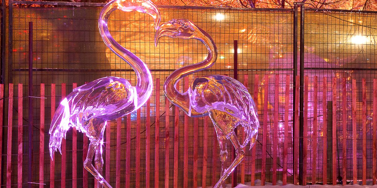 Doggery Craft Ice tweet media