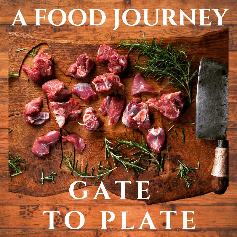 Fresh #irshgoatmeat available for #delivery next week. Limited quantity AVAILABLE. Drop us a DM and we will do our best to get some goat to you. I need a bit of #twittermagic so #please #retweet #getitwhileitsfresh 😉💜🐐
#knowyourfarmer #knowyourfood #shoplocal #irishfoodie