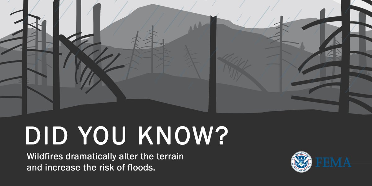 femaregion8's tweet image. Monsoon season can be good for droughts, but unfortunately, areas in and around burn scars are at higher risk for flash flooding and mudflow. 

If you live in an area impacted by wildfires within the last few weeks, months, or even years, make sure you know what to do. 

👇🏽