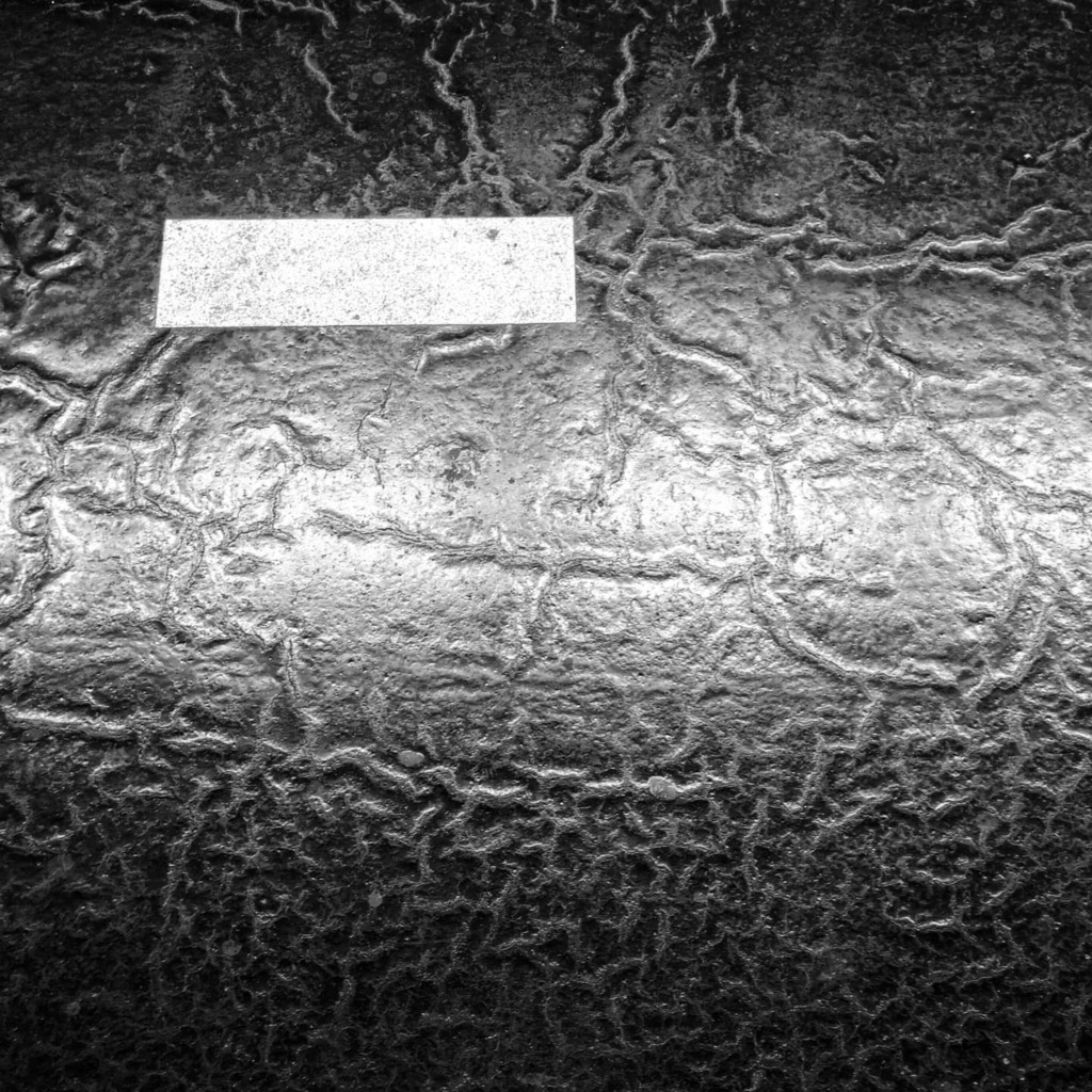 julienbayle's tweet photo. #ripplemarks https://t.co/k2aHhqTzej https://t.co/RtS5VwUV5T