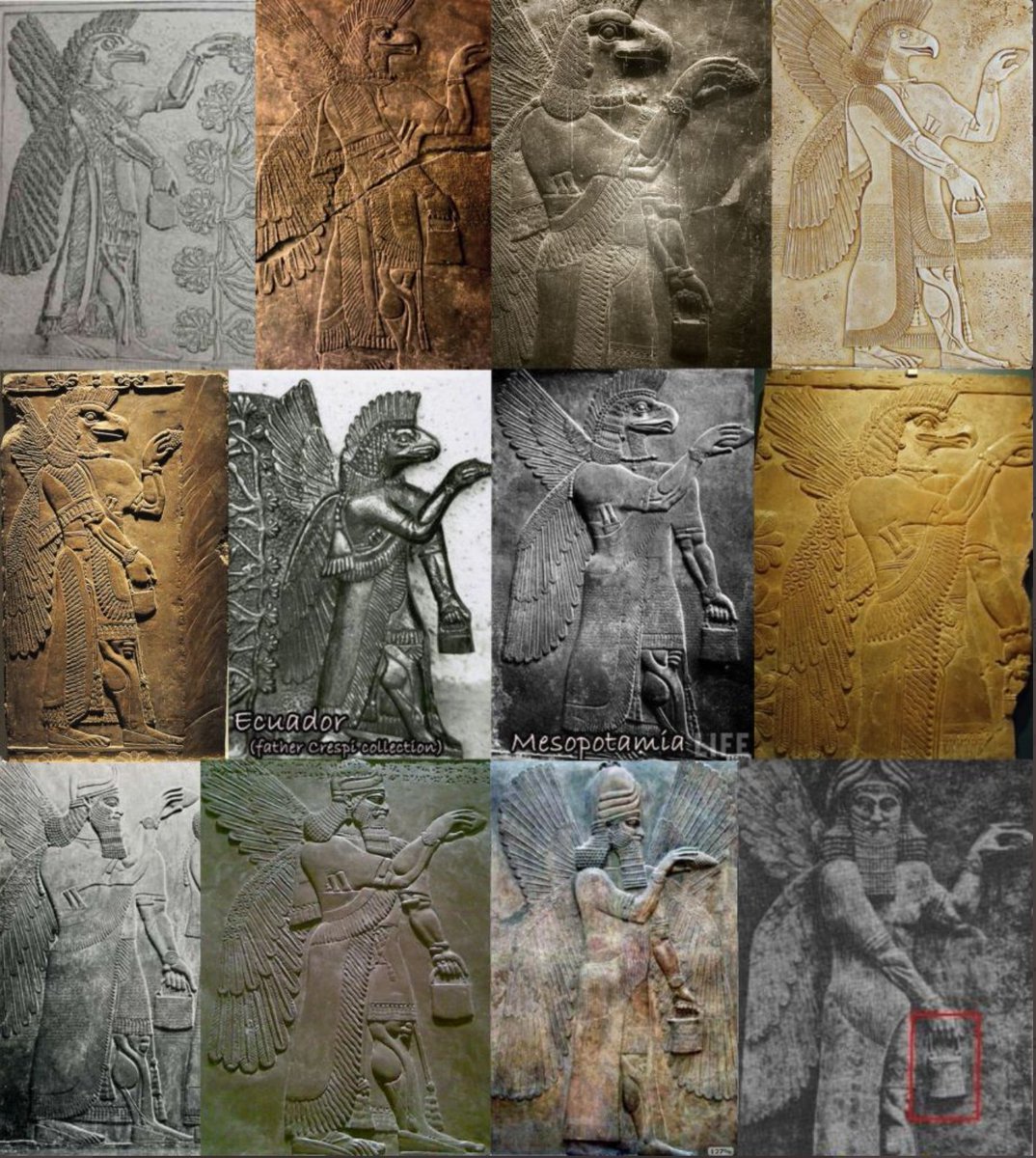 I get the feeling history is being hidden, not taught.