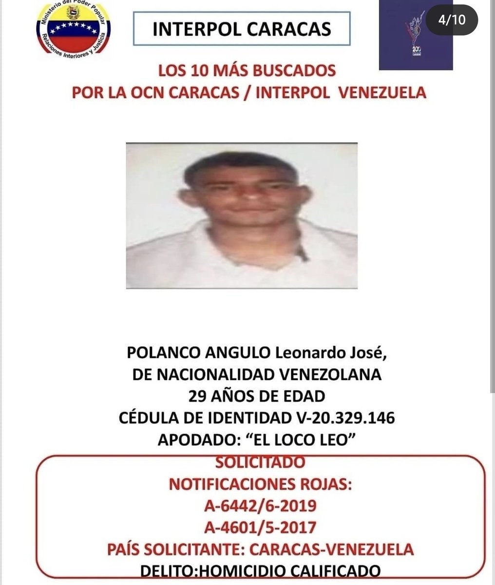 Roman Camacho tweet media