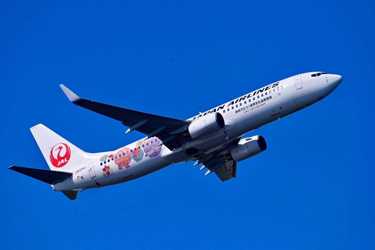 新品 JAL ハルプシュティーフェル B737-800 世界文化遺産登録 新品 JAL ハルプシュティーフェル B737-800 世界文化遺産登録