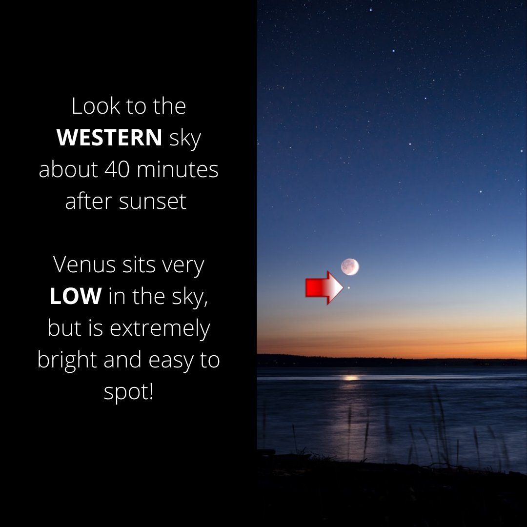 Venus is what's in the sky this Wednesday! 

If you're looking for something fun to do this summer, why not try spotting Venus just after sunset? Check out this post for tips and tricks on spotting Venus!

#venus #planets #astronomy #stem #education #space