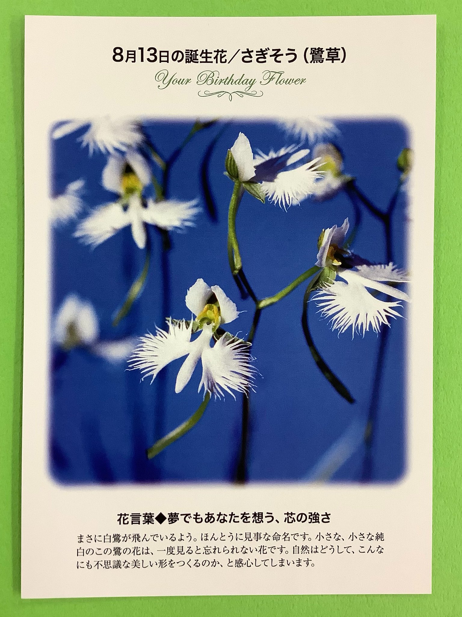ট ইট র 紀伊國屋書店 梅田本店 誕生花ポストカード 8 13の 誕生花 は さぎそう 鷺草 まさに白鷺が飛んでいるように見える 小さな純白の草の花は 一度見ると忘れられないものです 花言葉 は 夢でもあなたを想う 芯の強さ 只今文具売り場に ট ইট র 紀伊國屋書店 梅田本店 誕生花ポストカード 8 13の 誕生花 は さぎそう 鷺草 まさに白鷺が飛んでいるように見える 小さな純白の草の花は 一度見ると忘れられないものです 花言葉 は 夢でもあなたを想う 芯の強さ 只今文具売り場に