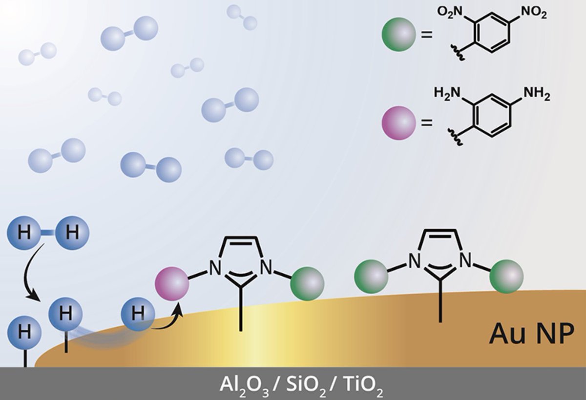 Szostak_Group's tweet photo. #NHCs #NHeterocyclicCarbenes Gross group reported #site-#independent #hydrogenation reactions on oxide-supported #Au #nanoparticles. #nitro-#functionalized #NHC ligands as #probes for site-dependent reactivity. @Shiyi37699738 @EladGrossLab @ACSCatalysis
https://t.co/DVLyy38woz https://t.co/QIDHr82Ap5