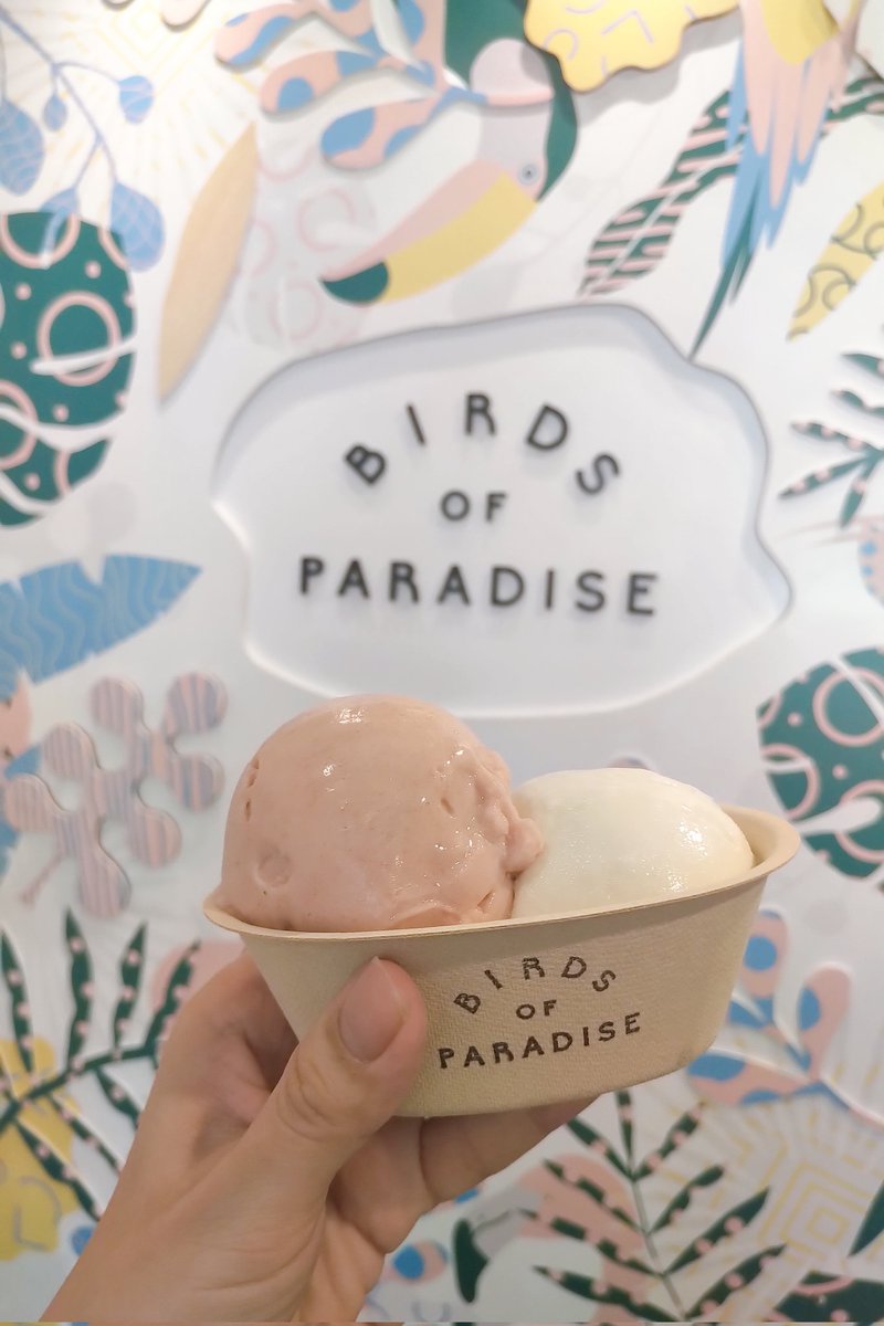 ClaireClaire05's tweet photo. You can't buy happiness, but you can buy ice cream and that's kind of the same thing! 🍓🍦✨
Flavours:
🌿 Basil
🌹 Peach and Rose Sorbet https://t.co/36l0M9tubm
