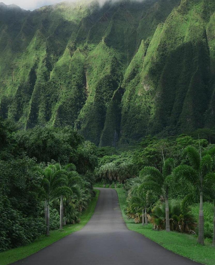 Amazing views in Hawaii...