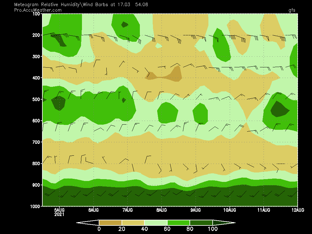jnmet's tweet image. #Khareef season will continue going strong around #Salalah, #Oman and the #Dhofar coast through next week. Rainfall is running above normal at Salalah as expected in my seasonal outlook.