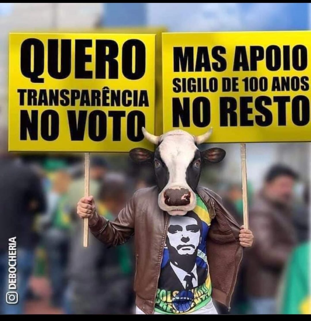 junior34123's tweet photo. @Biakicis @paulazanelli @OsPingosJP @filipebarrost @jairbolsonaro @TSEjusbr https://t.co/QhAkBymjaf
