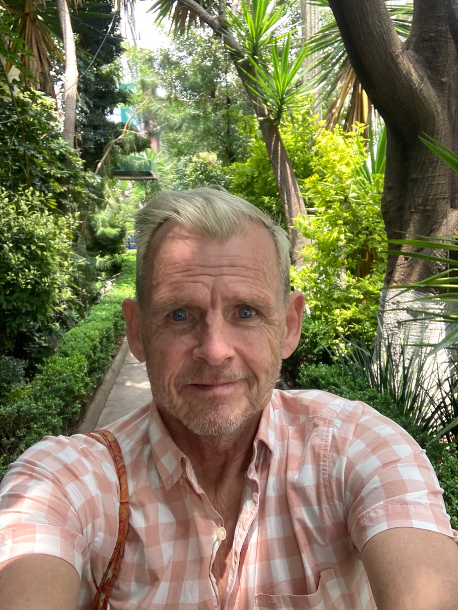 ActorPatton's tweet photo. For me #romanorte and #condessa #DF are perfect city strolling. So many beautiful trees and homes. https://t.co/mTjtIttDrP