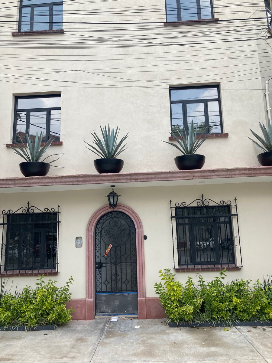 ActorPatton's tweet photo. For me #romanorte and #condessa #DF are perfect city strolling. So many beautiful trees and homes. https://t.co/mTjtIttDrP