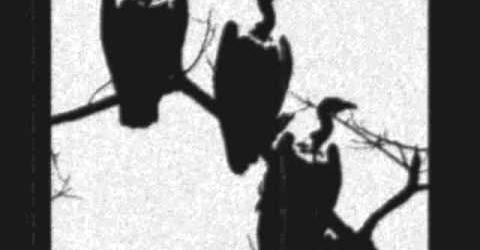 ZonebsRadio's tweet photo. #sixthcomm Proyecto creado en 1985 por Patrick "O'Kill” Leagas junto a Freya Aswynn publica el álbum Content with Blood #darkambient #synth #electronicmusic #ritual #experimentalmusic #deathinjune #magia #MitosNórdicos #MitologíaNórdica #folclorenórdico #culturaescandinava https://t.co/ajhenaSycu