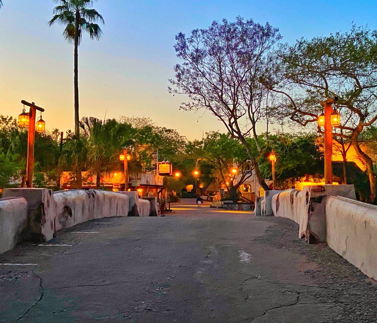 HippyDisneyGuy's tweet image. Animal Kingdom at twilight 😌🦒🧡

#WaltDisneyWorld