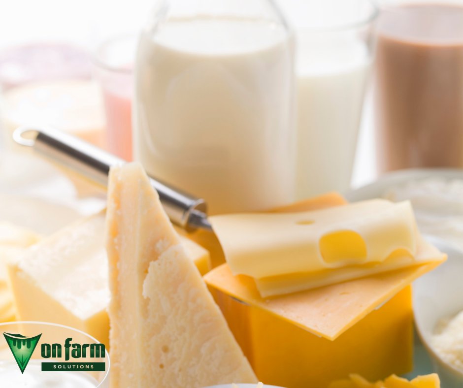 Milk processors are paying up to 10c a kilo milk solids for low (less than 150,000) bulk milk somatic cell count milk (BMSCC). It is a significant amount, but achieving it depends upon some good farm practices, ultimately taking a ‘cow-centric’ approach to good udder health.