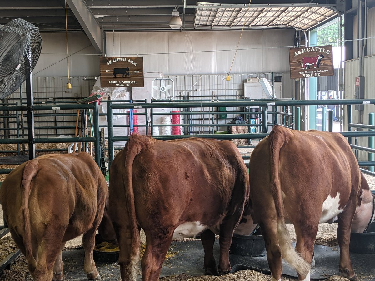 NebAaron's tweet photo. County fair time https://t.co/KR7cqa4GSi