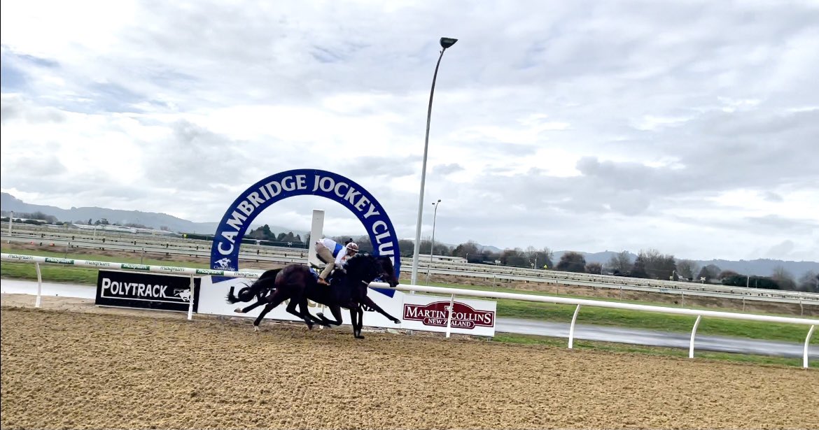 OaksStud's tweet photo. Catalyst & Marchioness cross the line together in Heat 13. The perfect trial back here at Cambridge. #returnoftheCat @cambjockeyclub https://t.co/ZjhvZeKFSO
