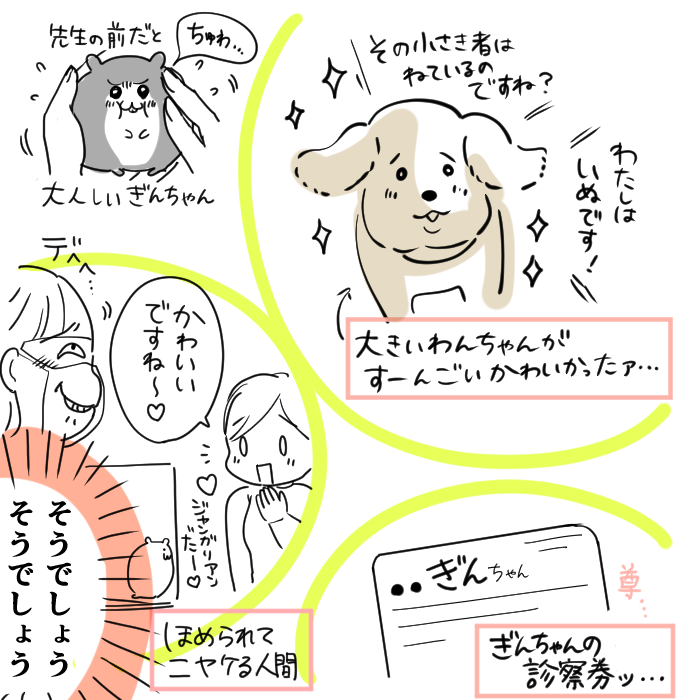 動物病院にて。ぎんちゃん強いぜ 