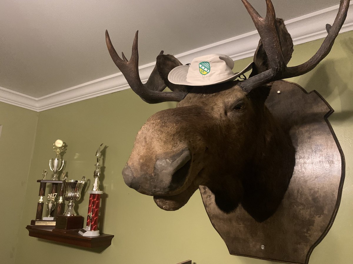 FarmHouseATZ's tweet photo. Gotta love these hats FH international had on the merch store - we think Mama’s Moose looks great in it! #PSMOES #FHATZ #FHProud https://t.co/uCaDGCSTtL