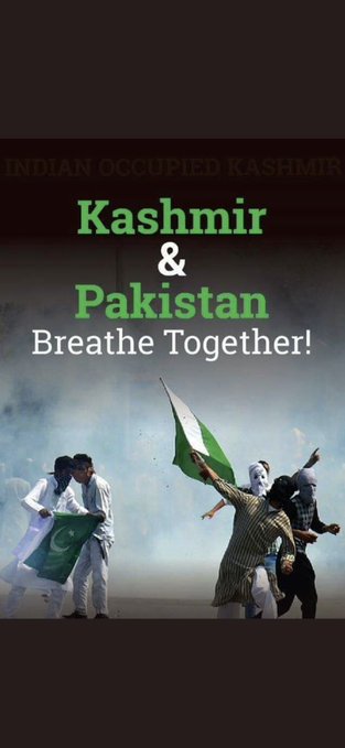 Maddyabb80's tweet photo. #GreenForKashmir 
#FreeKashmir 
#RedForKashmir 
#Red_for_Kashmir https://t.co/gc56ji9Egm