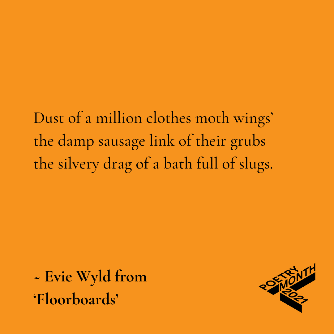 RedRoomPoetry's tweet photo. Today's #30in30 poem commissioned for #poetrymonth is 'Floorboards' by Miles Franklin Award & Stella Prize winning author @eviewyld @penguinrandom
Read the full poem here:
https://t.co/bW8iHwocJJ
#poetry #poem #eviewyld https://t.co/JMCgRpklSe