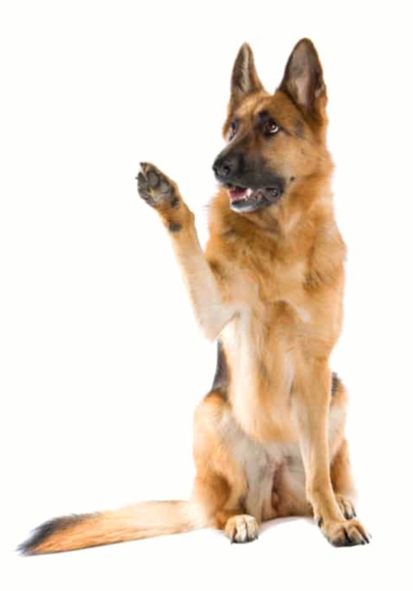 Meidas_Wendy's tweet image. #KremlinFile