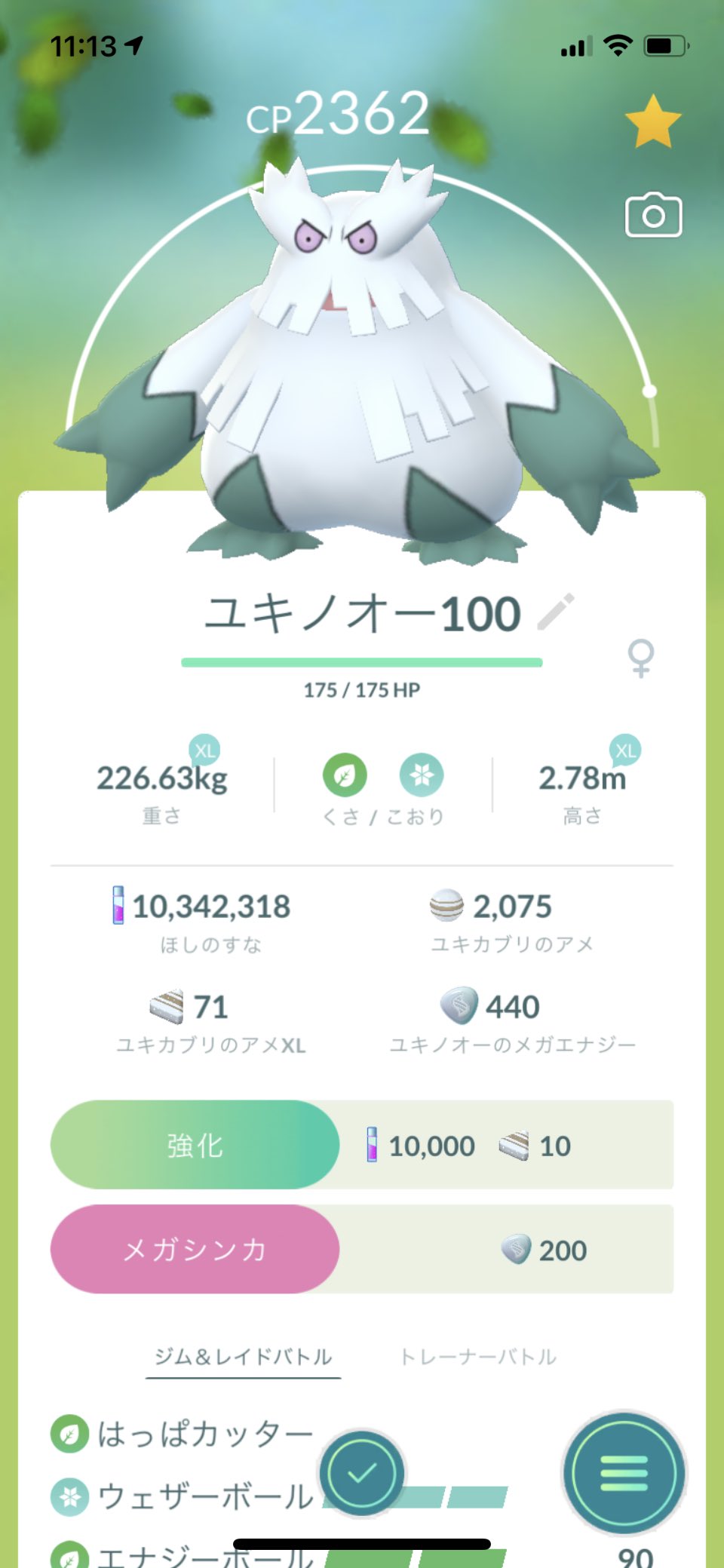 Niwatti まったりやっている Gblで報酬から嬉しい ポケモンが来てくれました 即 進化pl40にしました メガにするのが楽しみです ポケモンgo ユキカブリ 進化 ユキノオー Fff 技開放 T Co Ep9nop1aqj Twitter