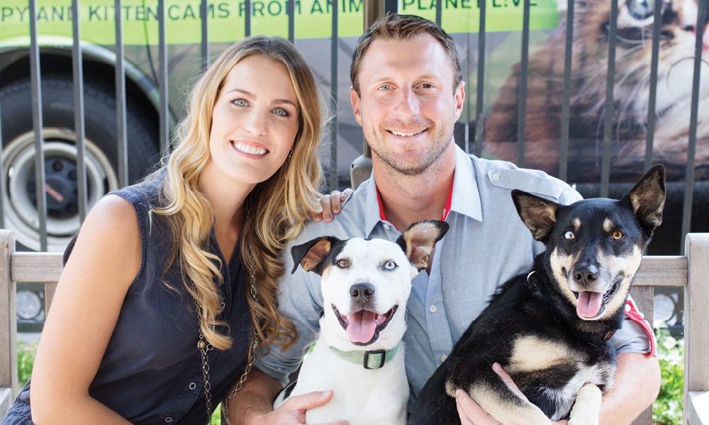 Blake Harris on X: Max Scherzer's dogs have different colored