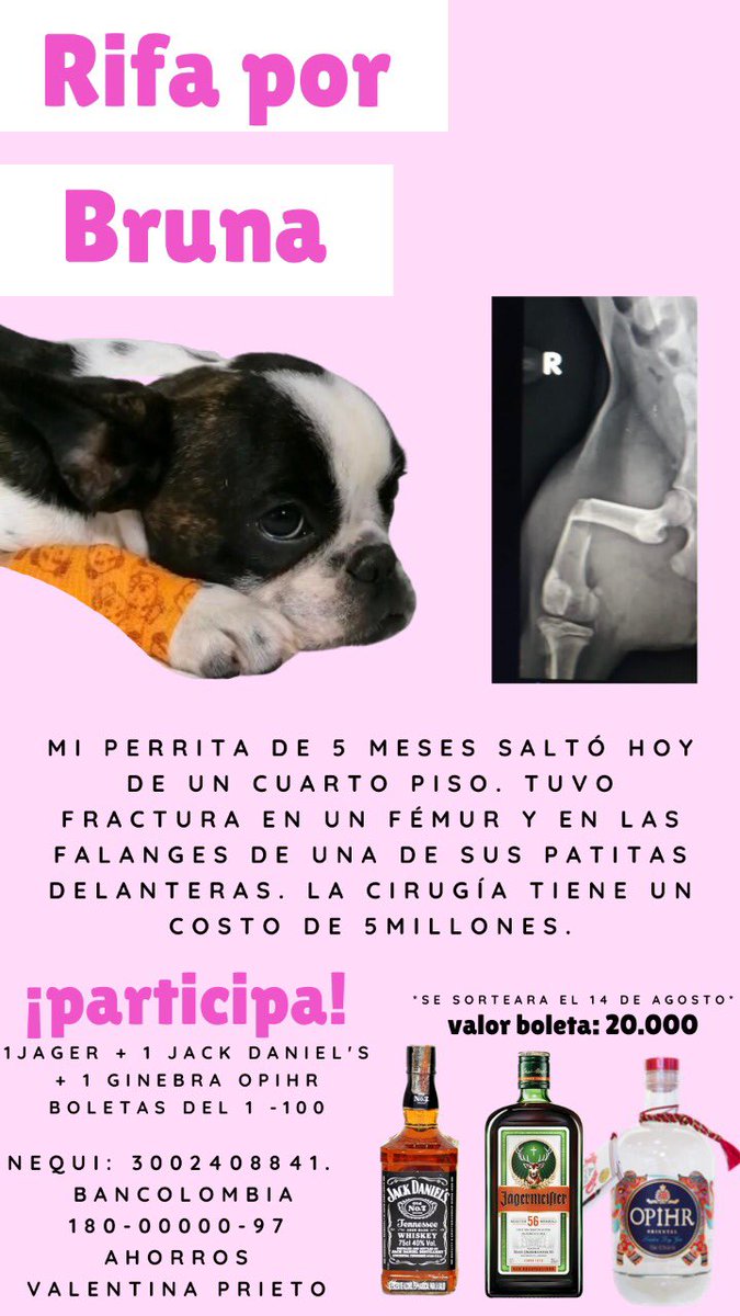 catcatssscat's tweet photo. holaa. estoy rifando 1 JACKDANIELS + 1 JÄGER + 1 GINEBRA OPIHR para poder pagar la operación de mi perrita que salto de un 4 piso hoy y tuvo dos fracturas. 

sino pueden participar por favor ayúdenme con un rt 🥺🥺🥺 https://t.co/CqXxH9f7z9