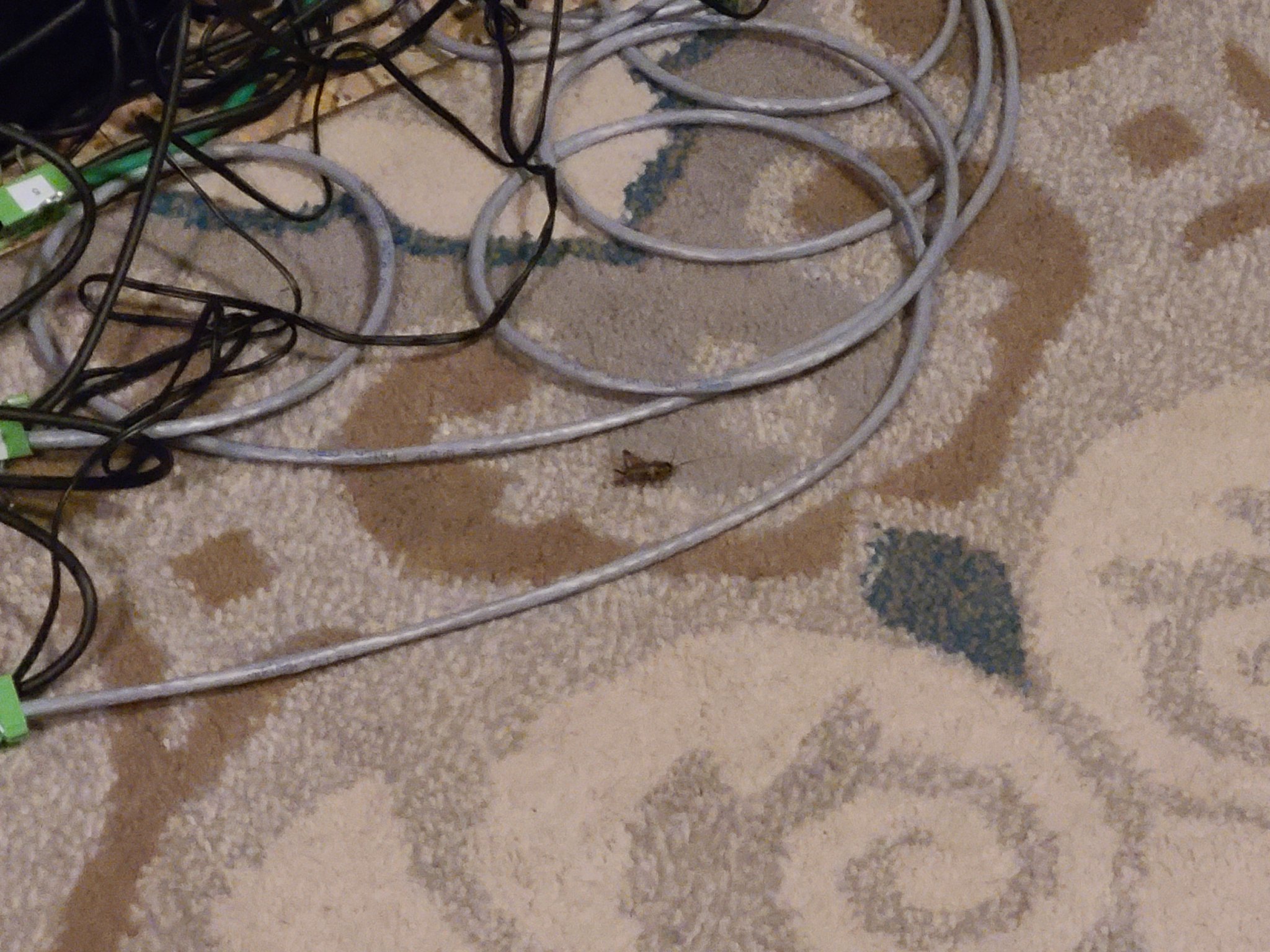 Mark Tryon on Twitter: