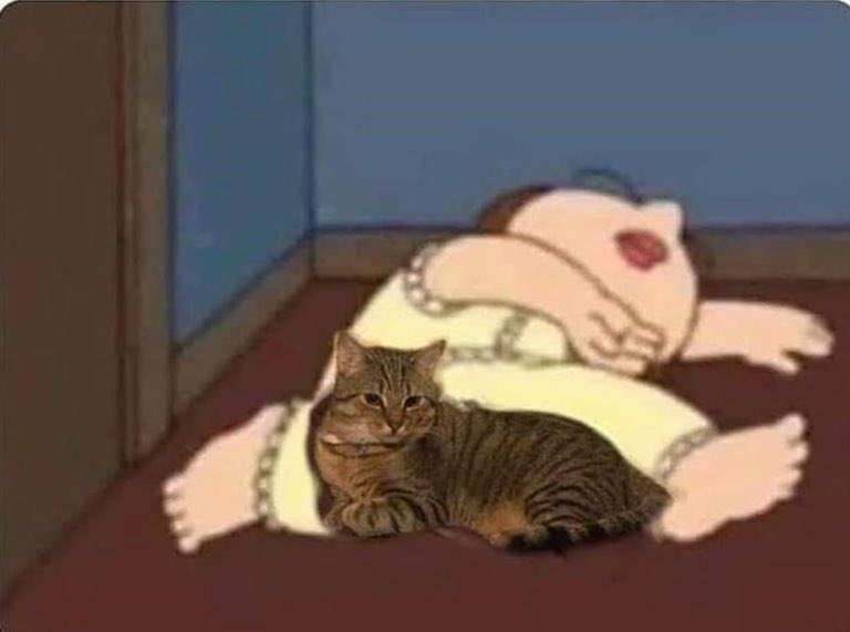 "por qué me dolerá tanto la espalda todos los días?"

yo durmiendo: