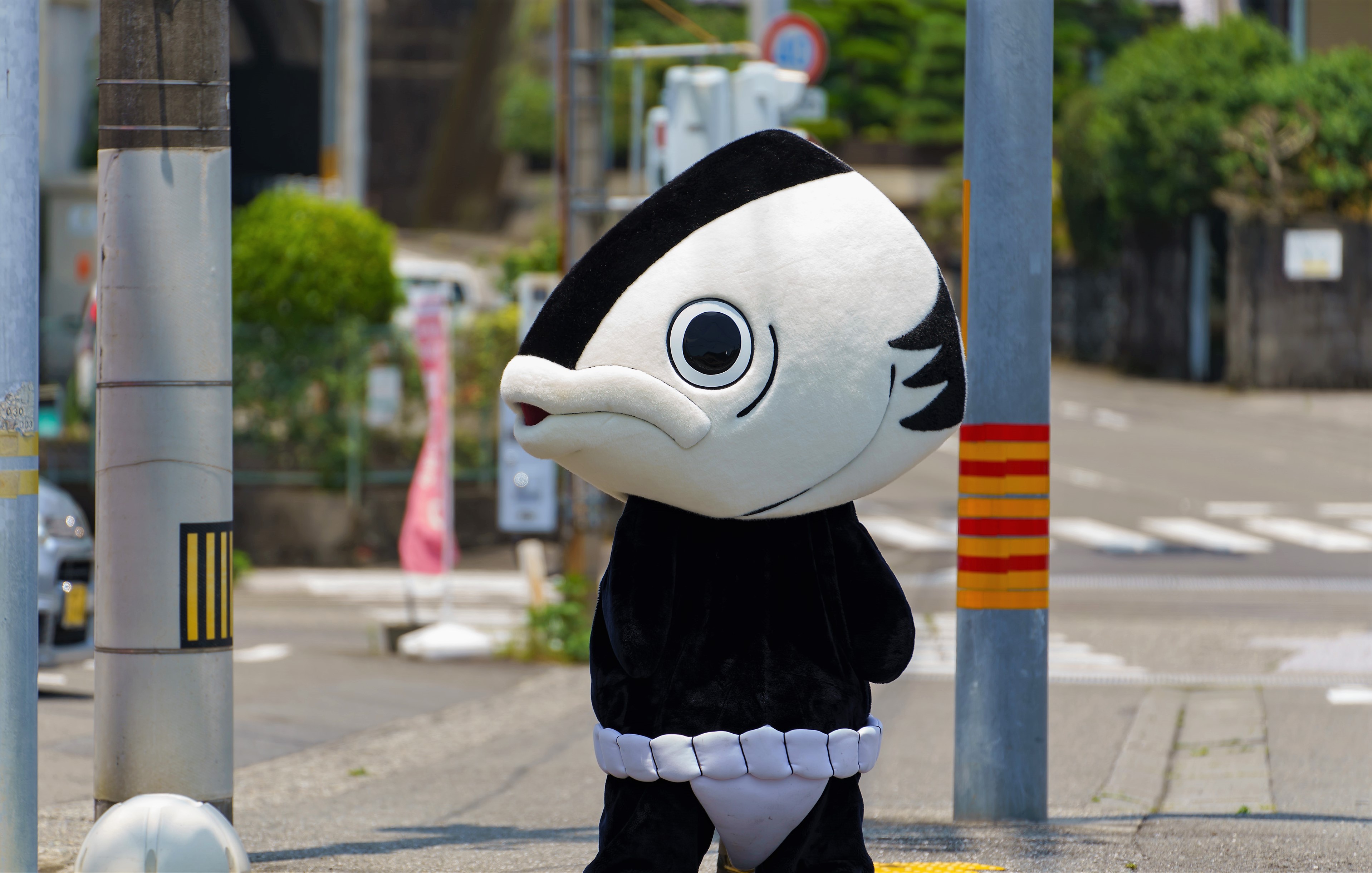 カツオ人間 竜とそばかすの姫 高知 伊野駅 すず 久武忍 映画 アニメ 聖地巡礼 カツオ人間 Japan Kochi Animation Film Bell T Co 25x6sdowpl Twitter