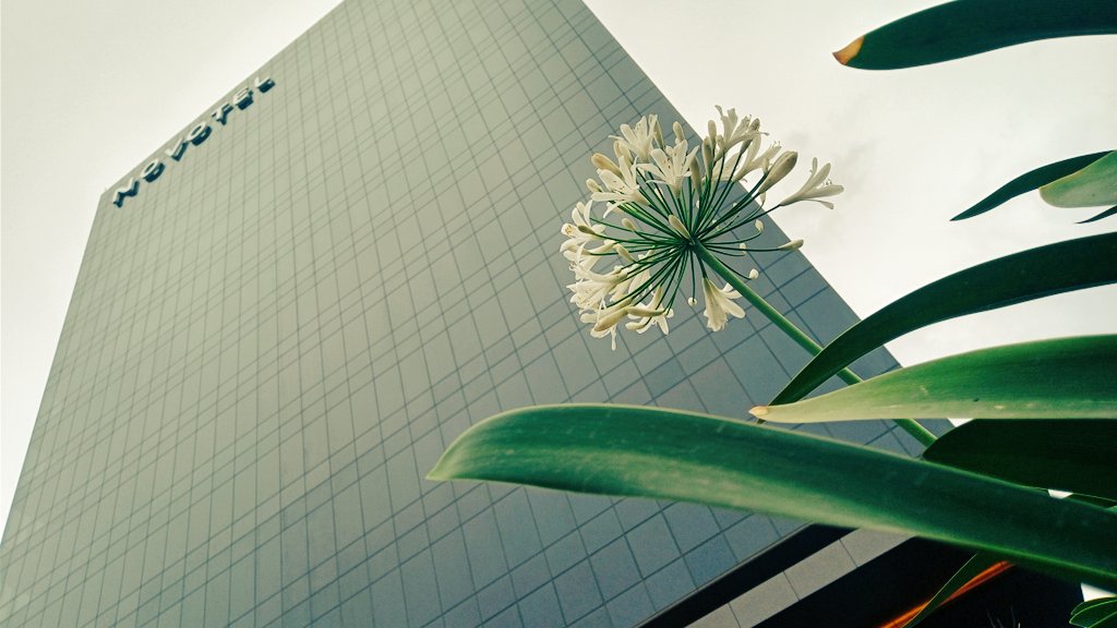 NexosTuristicos's tweet photo. Ubicado dentro del nuevo complejo de @ForumNaucalpan, nos encontramos en la inauguración de Novotel México City Toreo by @Accor el 3° de esta marca en #México el cual cuenta con 168 habitaciones en 4 categorías y la propuesta gastronómica de #Heliana cocina mediterránea/mexicana. https://t.co/zIAuGfRm15