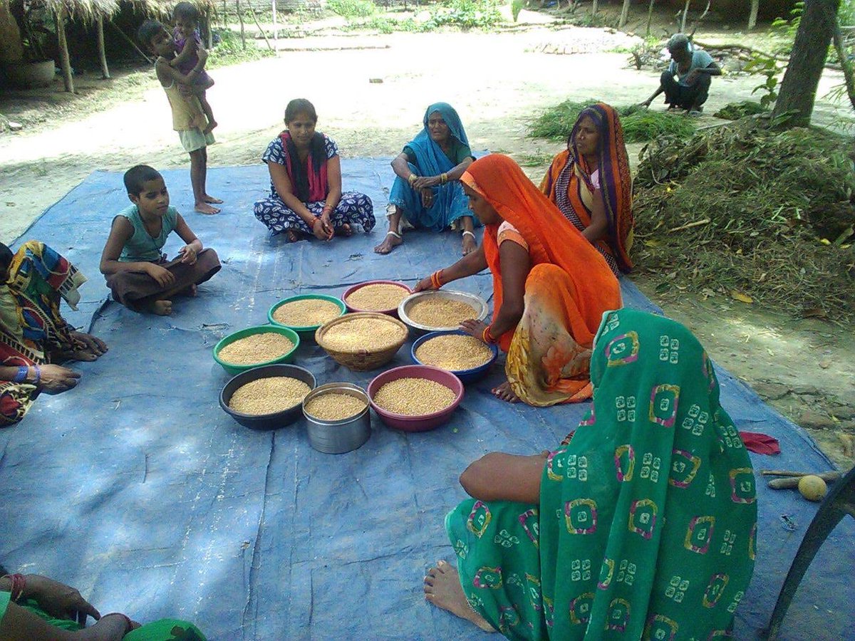 RGMVP's tweet photo. हमारे लोग संस्था के माध्यम से विश्वास महिला ब्लॉक संगठन आजादी स्वतंत्रता दिवस मनाने के लिए शकुंतला बहन ने अपने समूह से अनाज दान किया block Musafirkhana CRDC Amethi @ourpeoplemovemt #GrainBank #SelfHelp #WomensOrganizations #RapidPovertyReduction #SDGs https://t.co/v24oWpbcI7