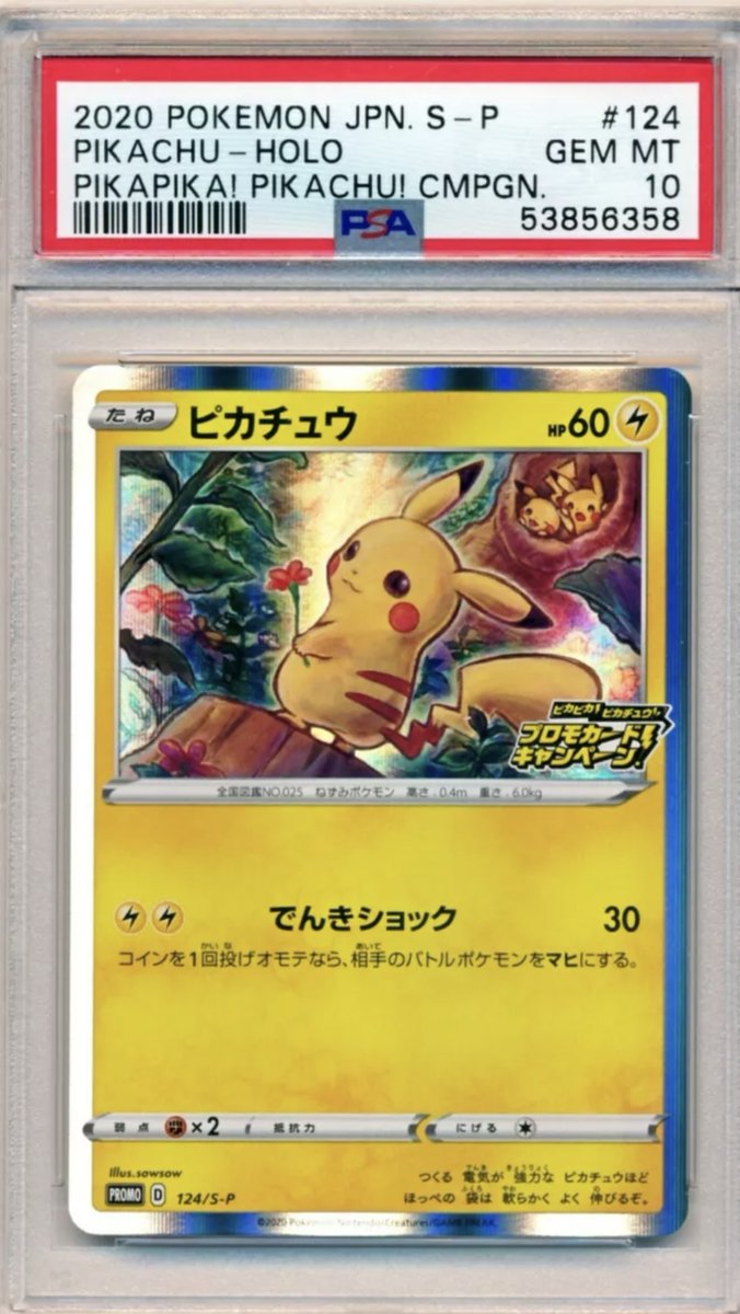 Perfect Pokémon Cards tweet media