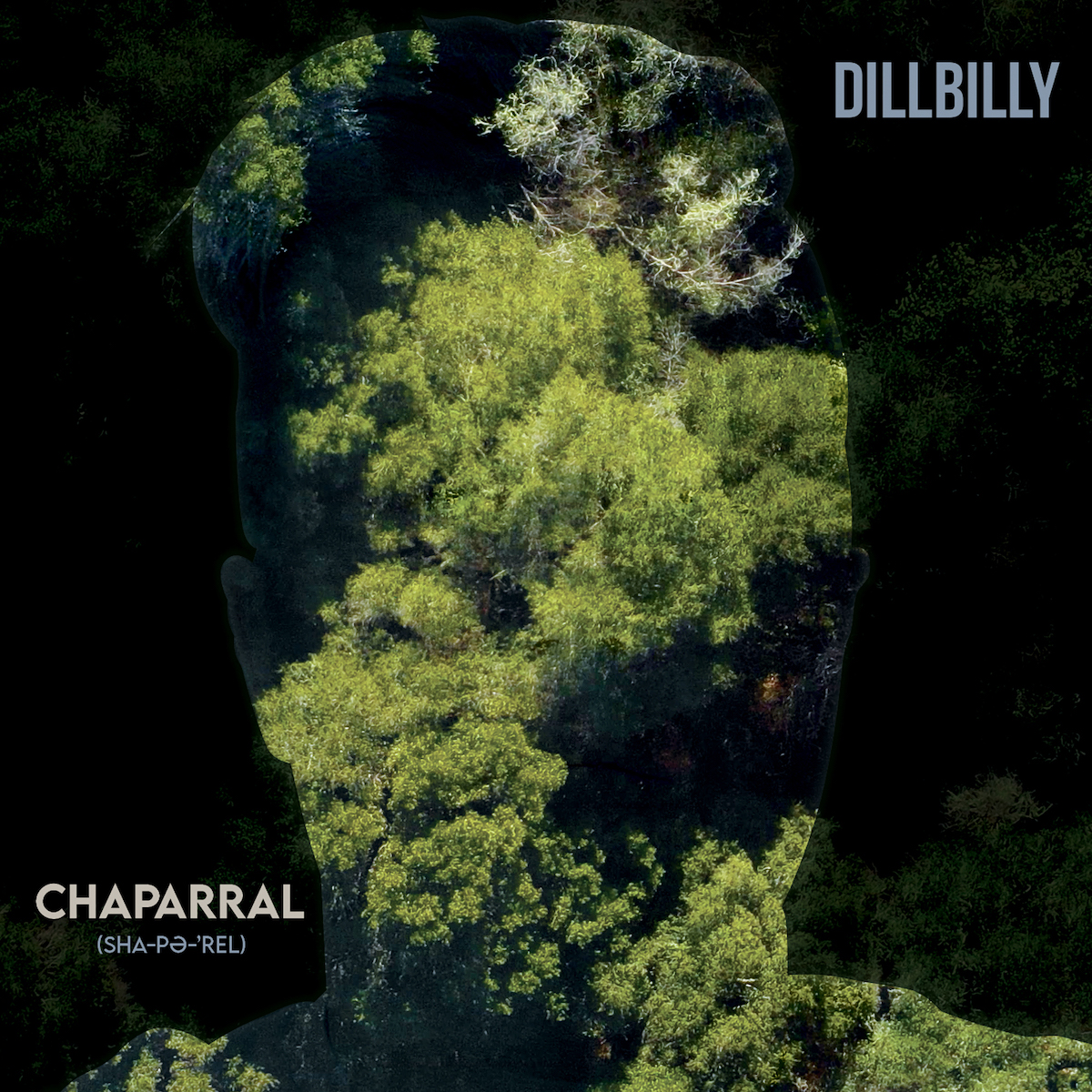 waxsimile's tweet photo. Happy @Bandcamp Friday! 
Our latest release by @Dillbilly4 if on #vinyl, #CD, and #digitaldownload 
https://t.co/ZCITxgrczM https://t.co/WYNrqDWP60