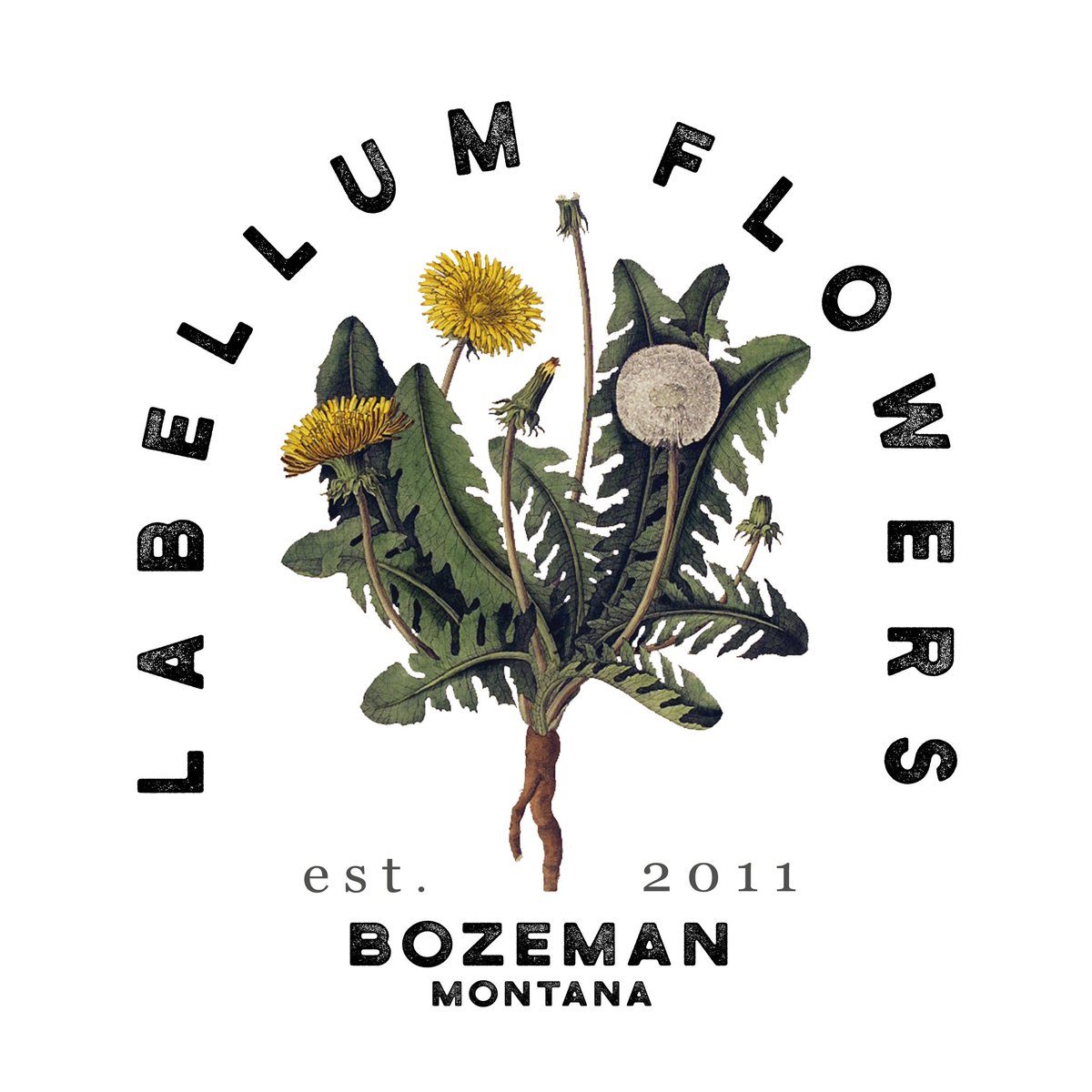 Labellum Flowers tweet media