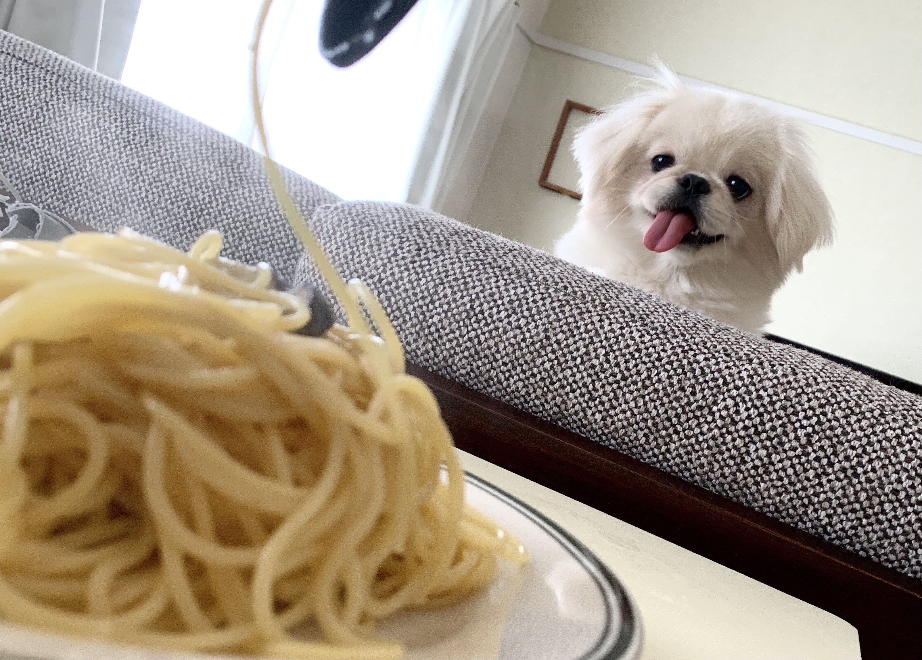 𝐿𝑂𝑉𝐸𝑌𝑂𝑈 自分のパスタの盛り付けだと思ってる顔だ T Co Ufl1wtipmp Twitter