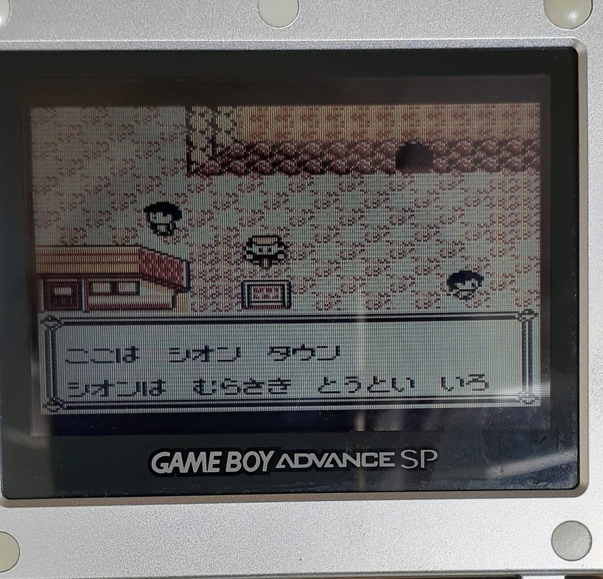 ট ইট র ﾊｼﾓﾄｹﾝｺﾞ ﾊｼﾓﾄｹﾝｺﾞ が本気で初代ポケモン150匹集めるでチュウ 7 イワヤマトンネル抜けてシオンタウンまで来た こんなにトレーナー多かったっけ 岩ポケモン相手に活躍してくれたカメールのミシシッピくん 現在41 150 もう少しで50匹 T