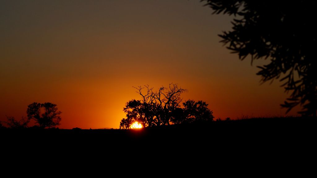 #Atardecer en #Illescas

#atardeceresbonitos
#atardeceresúnicos
#atardeceresporelmundo
#atardeceresmagicos  #atardecerinolvidables 
#verano  #fotografia  
#Paisaje #fotografiapaisaje #Naturaleza  #Estoes_CastillaLaMancha  #secretosdeillescas

Fotos cedidas por #JoseMariaMijarra